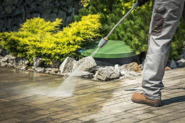 Best Driveway Pressure Washing  in Wildomar, CA