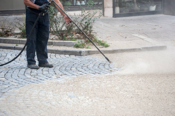 Best Sidewalk and Walkway Cleaning  in Wildomar, CA